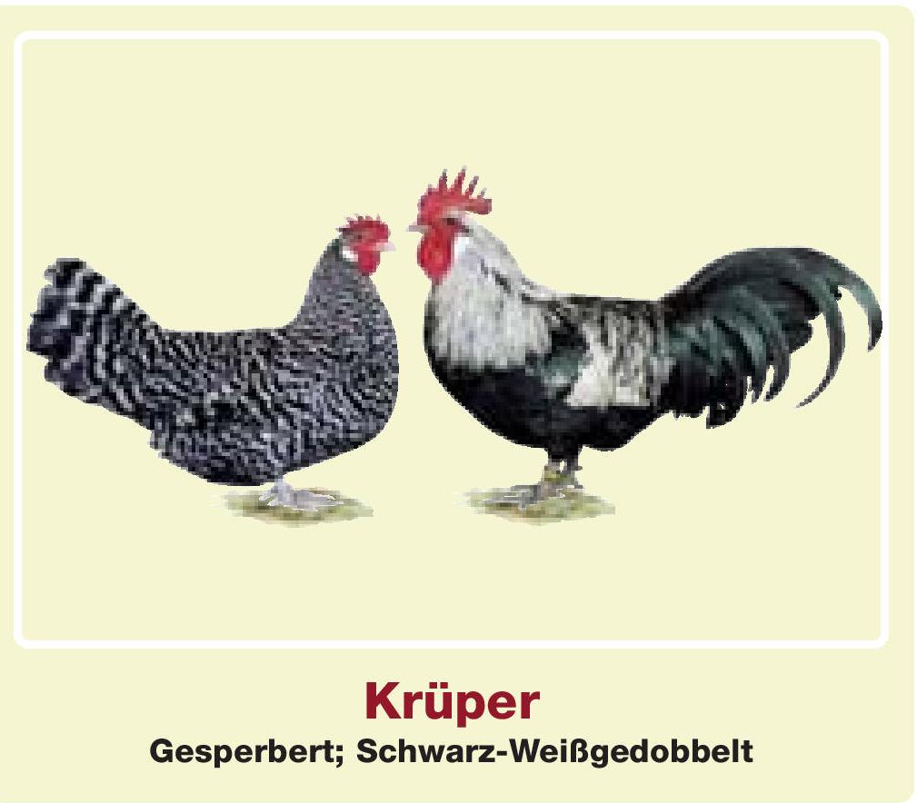 Krüper